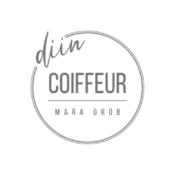 diin-coiffeur-logo2